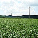 A.T. North of Ledigh Drive, Boiling Springs, PA, 06/14/13.