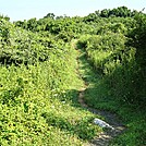 A.T. North of Trindle Road, PA Rte. 641, PA, 08/11/13 by Irish Eddy in Views in Maryland & Pennsylvania