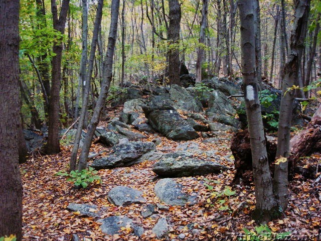 A.T. North of Whiskey Springs Road, PA, 10/06/12