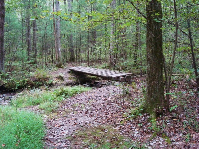 A.T. North Of Sheet Iron Roof Road, PA, 09/02/12