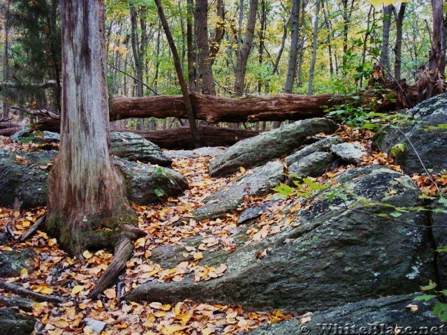 A.T. North Of Whiskey Springs Road, PA, 10/06/12