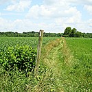 A.T. North of Ledigh Drive, Boiling Springs, PA, 06/14/13 by Irish Eddy in Views in Maryland & Pennsylvania