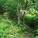 Hogestown Run Crossing, Cumberland Valley, PA, 08/11/13