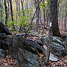 A.T. North Of Whiskey Springs Road, PA, 10/06/12