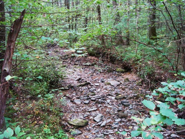 A.T. North Of Sheet Iron Roof Road, PA, 09/02/12