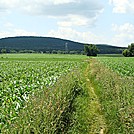 A.T. North of Ledigh Drive, Boiling Springs, PA, 06/14/13