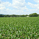 A.T. North of Ledigh Drive, Boiling Springs, PA, 06/14/13