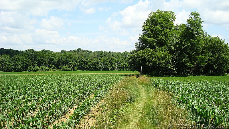 A.T. North of Ledigh Drive, Boing Springs, PA, 06/14/12