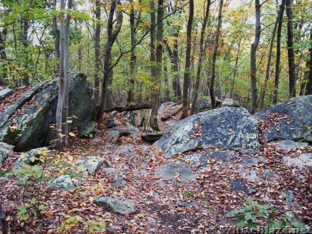 A.T. North Of Whiskey Springs Road, PA, 10/06/12