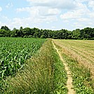 A.T. North of Ledigh Drive, Boiling Springs, PA, 06/14/13 by Irish Eddy in Views in Maryland & Pennsylvania