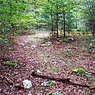 A.T. North Of Sheet Iron Roof Road, PA, 09/02/12 by Irish Eddy in Views in Maryland & Pennsylvania