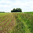 A.T. North of Ledigh Drive, Boiling Springs, PA, 06/14/13