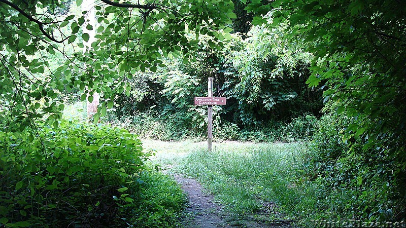 A.T. Junction With Appalachian Trail Campground Side Trail, Boiling Springs, PA, 06/14/13