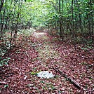 A.T. North Of Sheet Iron Roof Road, PA, 09/02/12