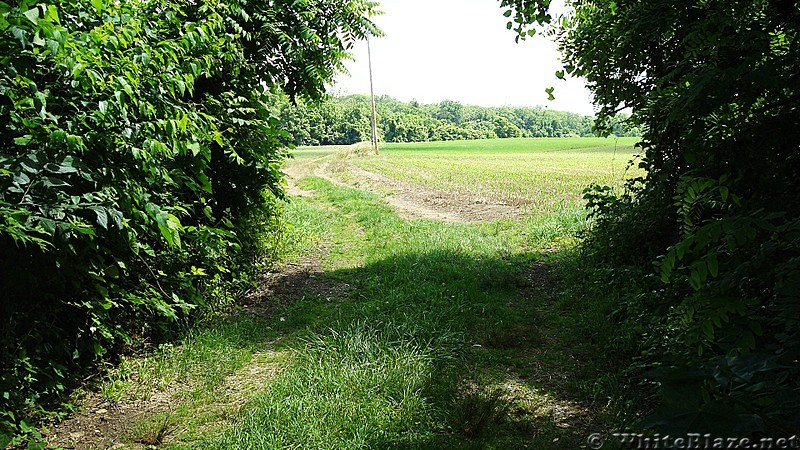 Side Trail To Appalachian Trail Campground, Boiling Springs, PA, 06/14/13