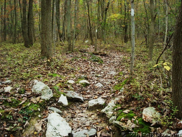 Pipeline Crossing North Of Whiskey Springs, PA, 10/06/12