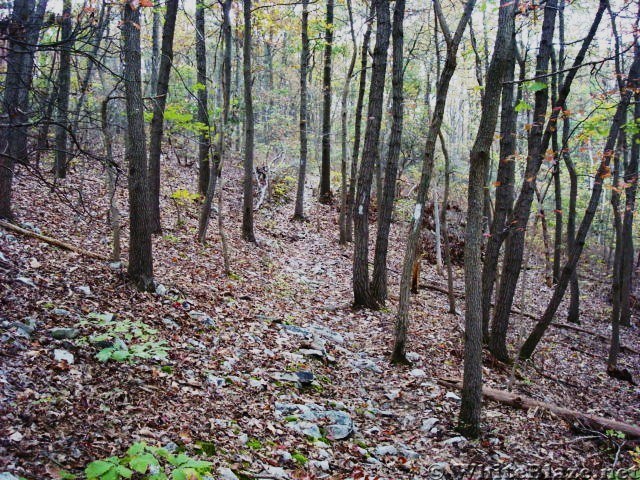 A.T. North Of Whiskey Springs, PA, 10/06/12