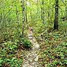 A.T. Ascent Of Rocky Ridge, PA, 09/02/12 by Irish Eddy in Views in Maryland & Pennsylvania