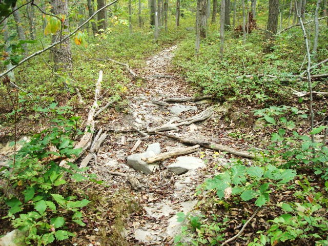 A.T. Ascent Of Rocky Ridge, PA, 09/02/12