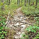 A.T. Ascent Of Rocky Ridge, PA, 09/02/12 by Irish Eddy in Views in Maryland & Pennsylvania