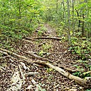 A.T. Ascent Of Rocky Ridge, PA, 09/02/12 by Irish Eddy in Views in Maryland & Pennsylvania