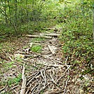 A.T. Ascent Of Rocky Ridge, PA, 09/02/12 by Irish Eddy in Views in Maryland & Pennsylvania