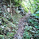 A.T. North of Old Stone House Road, Cumberland Valley, PA, 08/11/13