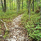 A.T. Ascent Of Rocky Ridge, PA, 09/02/12 by Irish Eddy in Views in Maryland & Pennsylvania