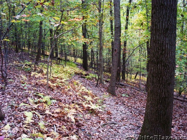 A.T. North Of Whiskey Springs, PA, 10/06/12