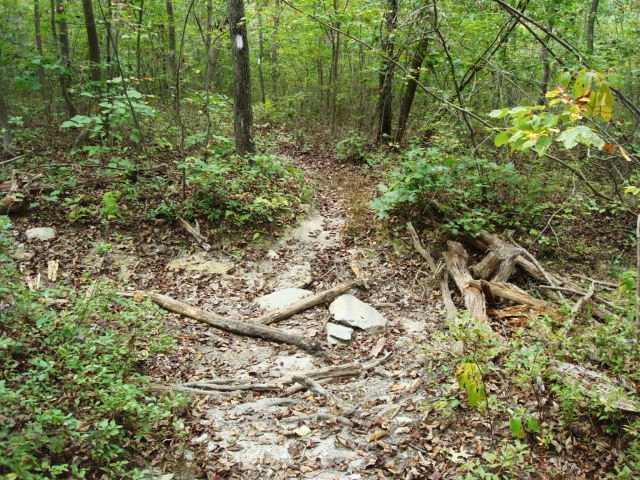 A.T. Ascent Of Rocky Ridge, PA, 09/02/12