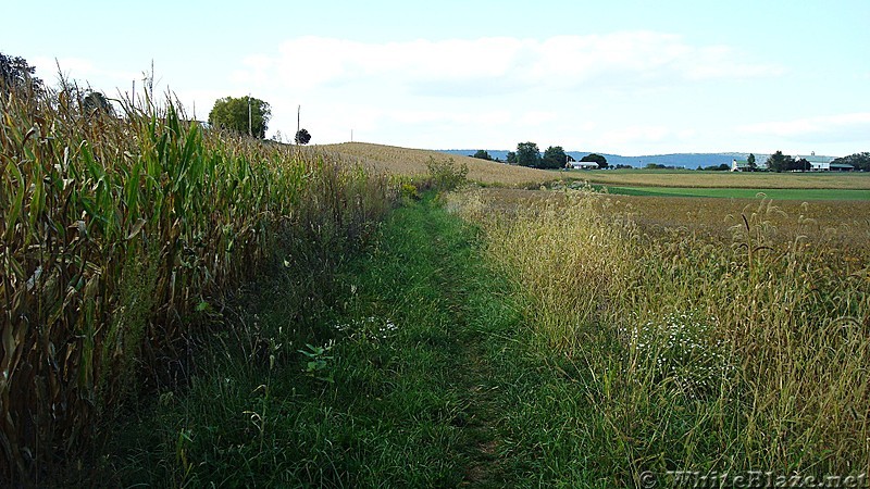 A.T. North of I-81, Cumberland Valley, PA, 09/27/13