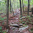 A.T. Ascent Of Rocky Ridge, PA, 09/02/12