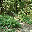 A.T. North of Appalachian Drive, Cumberland Valley, PA, 08/11/13