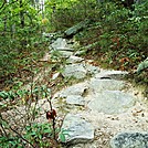 A.T. Ascent Of Rocky Ridge, PA, 09/02/12 by Irish Eddy in Views in Maryland & Pennsylvania