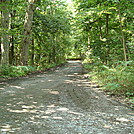 A.T. North of Appalachian Drive, Cumberland Valley, PA, 08/11/13