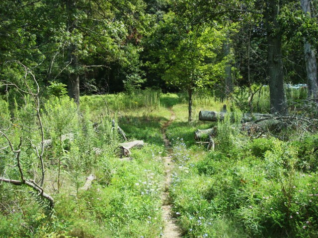 A.T. Near Carlisle Rd. (PA Rte 34), PA, 08/07/12