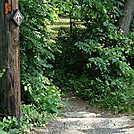 A.T. North of Yellow Breeches Creek, Boiling Springs, PA, 06/14/13