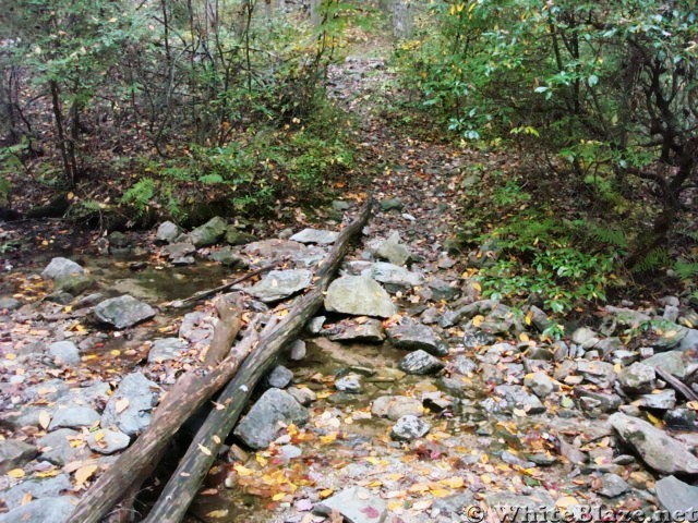 A.T. At Little Dogwood Run, PA, 10/06/12