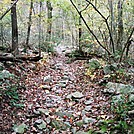 Abandoned A.T. At Little Dogwood Run, PA, 10/06/12 by Irish Eddy in Views in Maryland & Pennsylvania