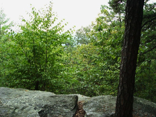 A.T. Ascent Of Rocky Ridge, PA, 09/02/12