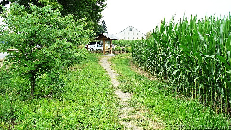 A.T. Parking Area At Trindle Road, PA, 641, PA, 07/27/13