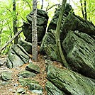 A.T. On Rocky Ridge, PA, 09/03/12 by Irish Eddy in Views in Maryland & Pennsylvania