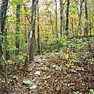 Side Trail To Alec Kennedy Shelter, PA, 10/06/12