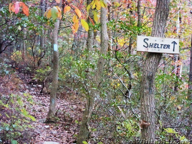 Side Trail To Alec Kennedy Shelter, PA, 10/06/12