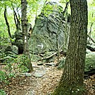 A.T. On Rocky Ridge, PA, 09/02/12