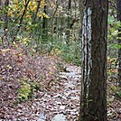 Side Trail To Alec Kennedy Shelter, PA, 10/06/12