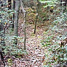 Side Trail To Alec Kennedy Shelter, PA, 10/06/12