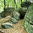 A.T. On Rocky Ridge, PA, 09/02/12 by Irish Eddy in Views in Maryland & Pennsylvania