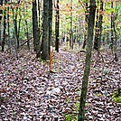 Boundary Marker Blaze, PA, 10/06/14 by Irish Eddy in Views in Maryland & Pennsylvania