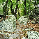 A.T. On Rocky Ridge, PA, 09/02/12 by Irish Eddy in Views in Maryland & Pennsylvania